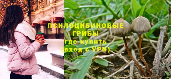 мяу мяу мука Нязепетровск