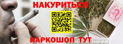 гидра Заводоуковск