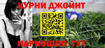 гидра Заводоуковск
