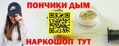 гидра Заводоуковск