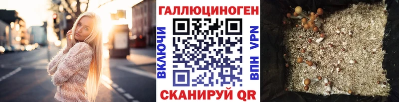 Галлюциногенные грибы GOLDEN TEACHER  где найти наркотики  Калуга 