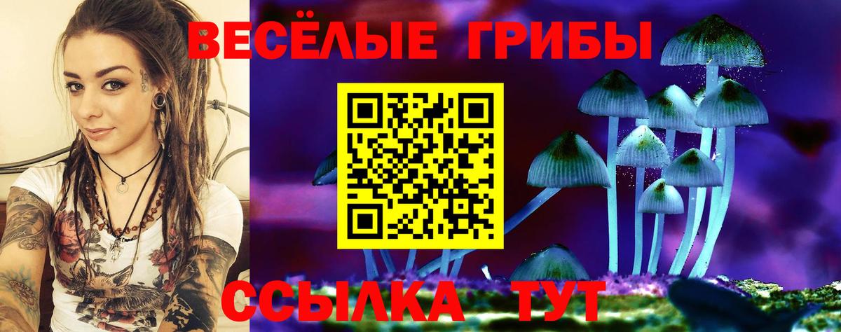 Калуга  Псилоцибиновые грибы мицелий  Вход с VPN  Псилоцибиновые грибы Magic Shrooms 