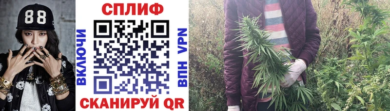 Марихуана конопля  продажа наркотиков  гидра зеркало  Калуга 